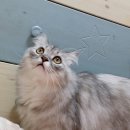 오!오