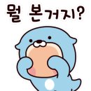 동아대 이룸 태권도 이미지