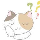 2019-주084 | 미혼모단체 아임맘 비리 의혹 관련 정리