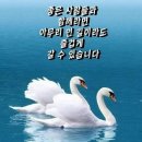 동서림한의원 이미지