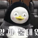 햅삐데이 이미지