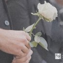 법무법인도하 이미지
