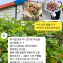 오뜨플로르