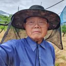 추대농장 이미지