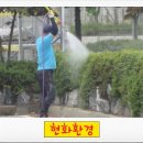 현화환경 이미지