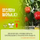 스마트폰&인터넷기초(수) 이미지