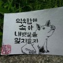 건강한친구들 이미지