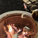 머쉬멜로우민박 이미지