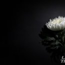 중동로 361 뉴스1