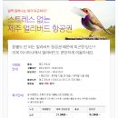 제주 얼리버드 항공권(아시아나 항공) 이미지