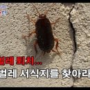 119엑스터