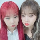 유정유리 이미지