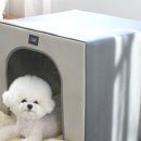 펫하우스 이미지