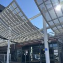 완산-1 | 전주 프리다이빙 강습 물중독 크루 LV.1 후기 (완산수영장)