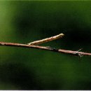 사남매농장 이미지