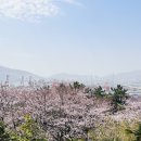 신선대산복로 이미지