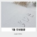 해물명가(중랑점) | 1월 으네일상