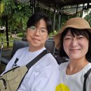 차] 카젤라파크 복장,준비물,집라인-쿼드바이크-워킹위드라이언 (예약시간 분배) /워킹위드라이언 환불후기