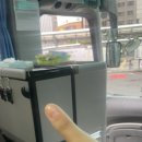 포로롱 이미지