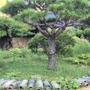 덕천마을(참소슬마을) 이미지