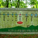 홍지마을회관 이미지