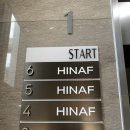이진헤어 | W. 히나프(HINAF) 웨딩 촬영 헤어 메이크업 후기 | 이진 부원장 | 유아 부원장