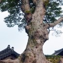 세계유산코스 이미지