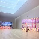 솔올 | 강릉 솔올미술관 후기｜현대미술과 자연이 어우러진 힐링 명소