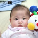 인형과 함께 Daum카페