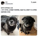 신호