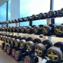 어게인핏 이미지