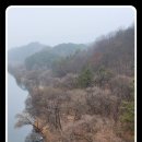 갑천우안도로 이미지