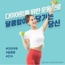 봉화분식 이미지