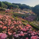 여월동공영주차장 이미지