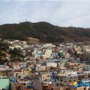 감천2동-7 이미지