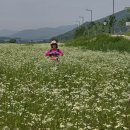 경기둘레길 이천38코스 이미지