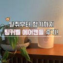 채운 | 드디어 정착한 고체탈취제 팅커벨 에어캔들로 향기 채운 후기!