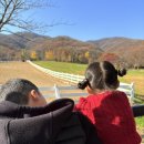 대박목장 | 예약 전쟁 뚫고 성공! 아이들이 반한 농도원 목장 가을체험 후기
