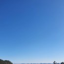 요거프레소경주 이미지