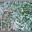 우인농장 이미지