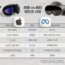 애플 비젼 PRO 체험후기