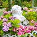 장미정원 이미지