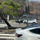 GS25 인천남동 | [인천대공원] 벚꽃 개화 시기 2025년 최신ㅣ벚꽃 위치 공유