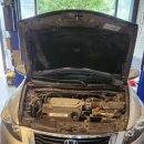 295모터스 이미지