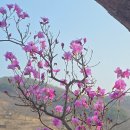 밤산농원 이미지