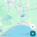 173 | OZ173편 지연 후기│신치토세공항에서 시작된 긴 귀국길