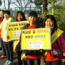 백사초교 이미지