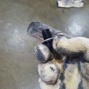 만해모터스 이미지