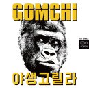 고릴라청소 이미지