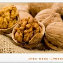 호두호두
